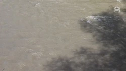 Владимир Владимиров: Уровень воды в реке Кума в Предгорье снижается 