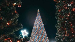 В Предгорье установят 15 новогодних ёлок 