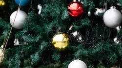 В новогоднюю ночь в Предгорном округе происшествий не зафиксировали