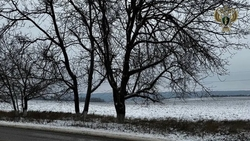 Суд признал незаконной продажу 3 га муниципальной земли в Предгорье