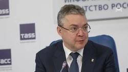 Владимир Владимиров дал поручение сформировать график дежурств на новогодние каникулы в руководстве профильных министерств
