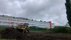 Аллею в посёлке Мирном начали благоустраивать в Предгорье