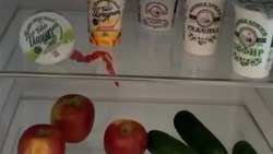 Что хранит в холодильнике глава Предгорья