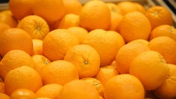 Бойцам СВО отправят тонну мандаринов из Предгорного округа к Новому году