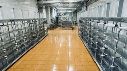 Новая сыроварня открылась в Предгорном округе