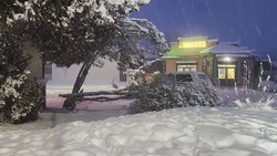 Больше 10 деревьев пострадали от плотного снега в станице Предгорья