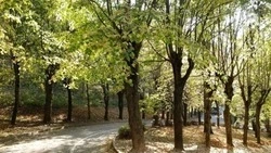 Ставропольцы проведут уборку в станице Ессентукской