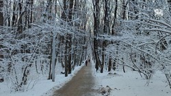МЧС края предупредили о дожде и мокром снеге 29 декабря на Ставрополье 