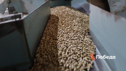 В Предгорном округе с начала года проверили 835 тонн семян яровых