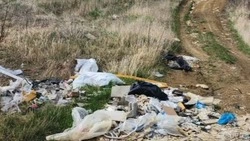 Свалки и костры в заказниках на КМВ признали нарушением закона