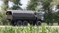 Бойцам в зону СВО из Предгорного округа отправили 6 тонн посылок