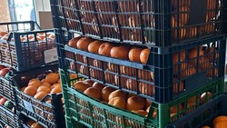 Более тонны мандаринов и яблок подарили участникам СВО из Предгорья